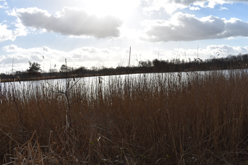 Wandeling Platwijers 17 februari 2022